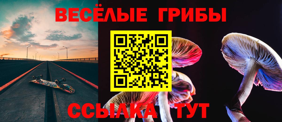 Псилоцибиновые грибы ЛСД Волхов